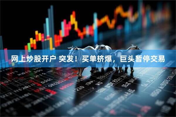 网上炒股开户 突发！买单挤爆，巨头暂停交易