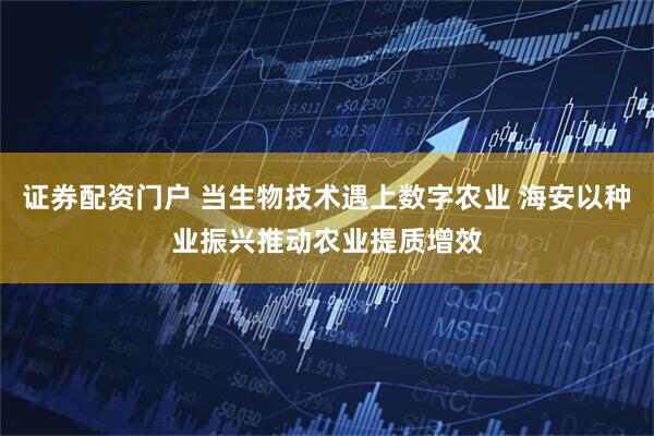 证券配资门户 当生物技术遇上数字农业 海安以种业振兴推动农业提质增效