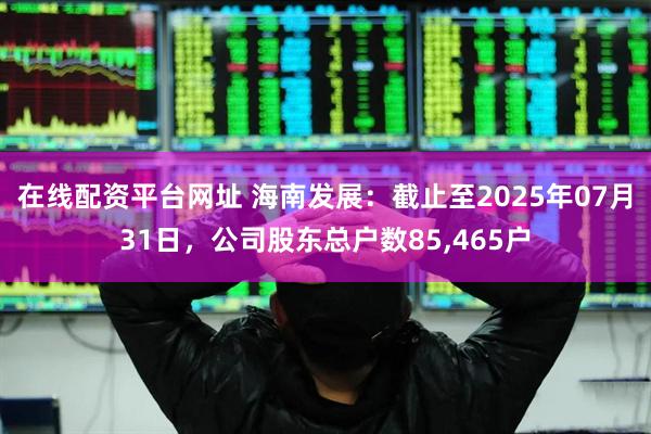 在线配资平台网址 海南发展：截止至2025年07月31日，公司股东总户数85,465户