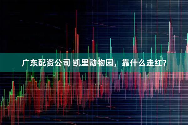 广东配资公司 凯里动物园，靠什么走红？