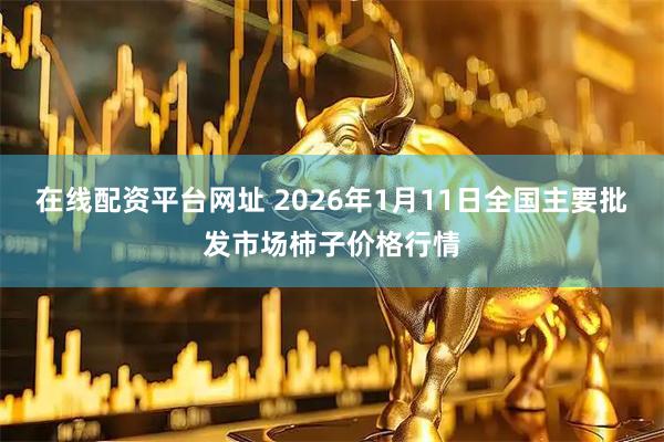 在线配资平台网址 2026年1月11日全国主要批发市场柿子价格行情